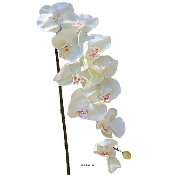 Superbe tige d'orchidée artificielle toucher réel 10 fleurons 110 cm Crème - Photo n°1