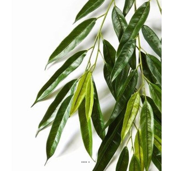 Branche de longifolia royal artificielle L 85 cm Vert - Photo n°3