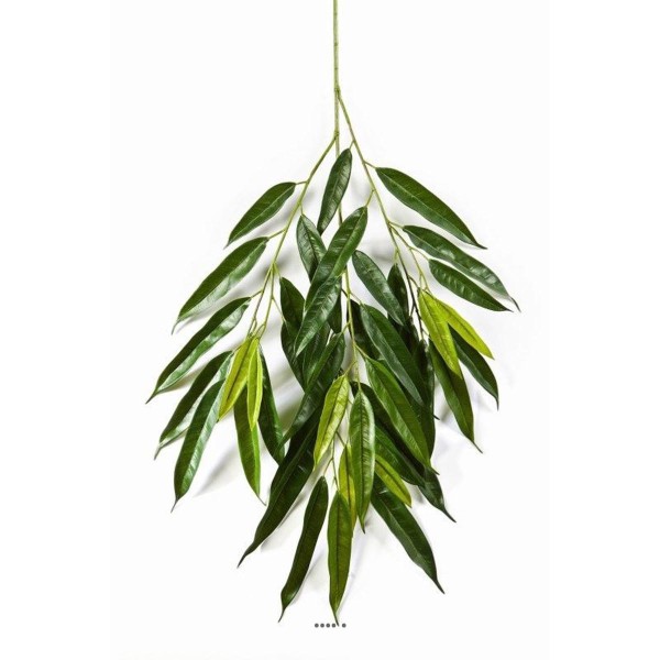Branche de longifolia royal artificielle L 85 cm Vert - Photo n°4