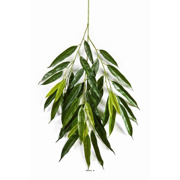 Branche de longifolia royal artificielle L 85 cm Vert - Photo n°1