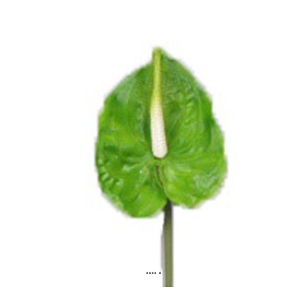 Tige Anthurium artificiel L 66 cm Vert - Photo n°2
