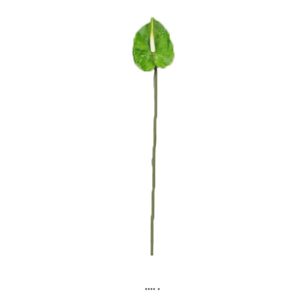 Tige Anthurium artificiel L 66 cm Vert - Photo n°1