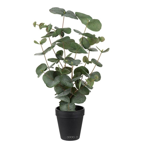 Eucalyptus artificiel en pot H 55 cm - Photo n°2