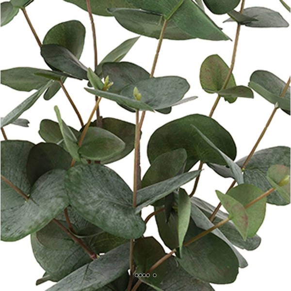 Eucalyptus artificiel en pot H 55 cm - Photo n°3