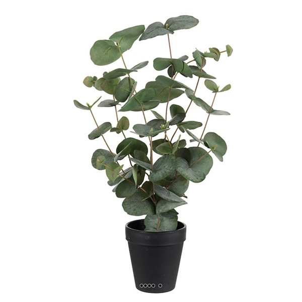 Eucalyptus artificiel en pot H 55 cm - Photo n°1