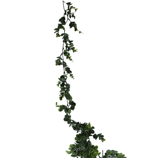 Guirlande d'eucalyptus artificiel L 150 cm en plastique - Photo n°3