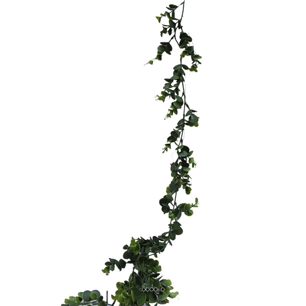 Guirlande d'eucalyptus artificiel L 150 cm en plastique - Photo n°1