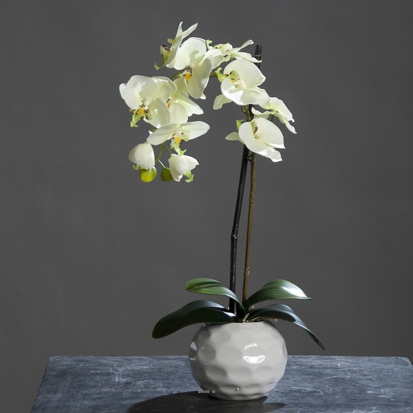 Orchidee artificielle crème Vert1 hampe en pot Ceramique Blanc H 46 cm - Photo n°1