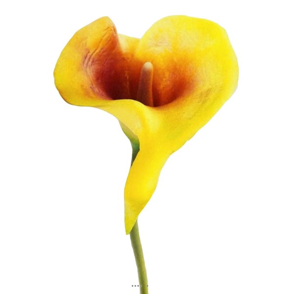 Arum calla fleur artificielle Jaune aubergine H 42 cm Superbe - Photo n°1