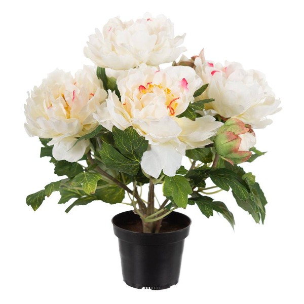 Pivoine artificielle en pot H 35 cm 4 fleurs et 2 boutons Blanc rose - Photo n°1