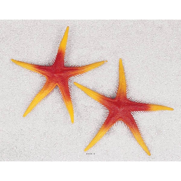Etoile de mer artificielle orange X 2 en Plastique soufflé D 250 mm - Photo n°1