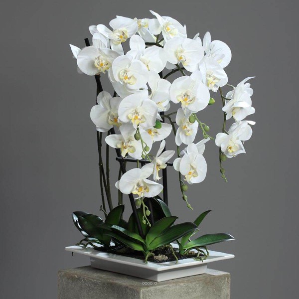 Orchidee factice 5 hampes en coupe ceramique H60cm touché réel Crème - Photo n°1