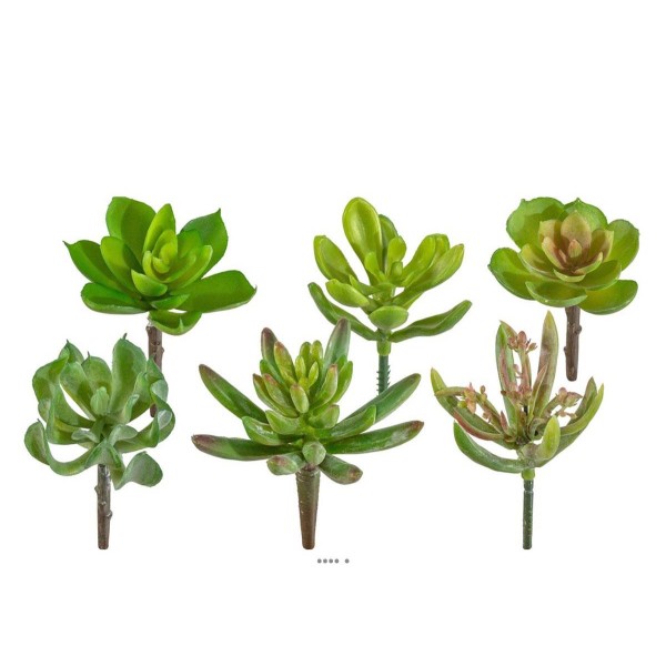 Plantes grasses artificielles succulentes cactées X6 têtes melangees - Photo n°1