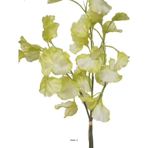 Pois de senteur fleur artificielle en 3 branches H 50 cm Crème vert - Photo n°2