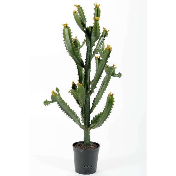 Cactus Euphorbe factice en pot Top qualité H97cm D45cm vert aloé - Photo n°1