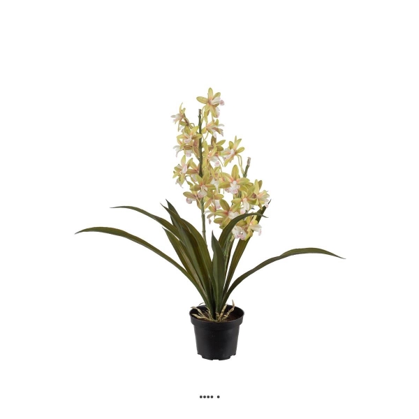 Orchidée cymbidium artificielle en pot, H 45 cm Crème vert - Photo n°1