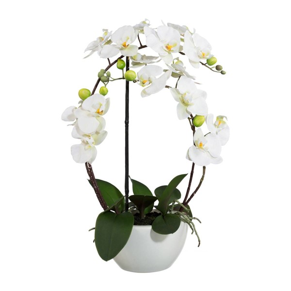 Orchidée factice 4 hampes en coupe céramique H60cm touché réel Crème - Photo n°2