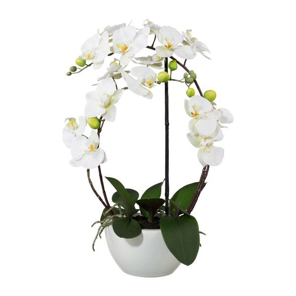Orchidée factice 4 hampes en coupe céramique H60cm touché réel Crème - Photo n°1