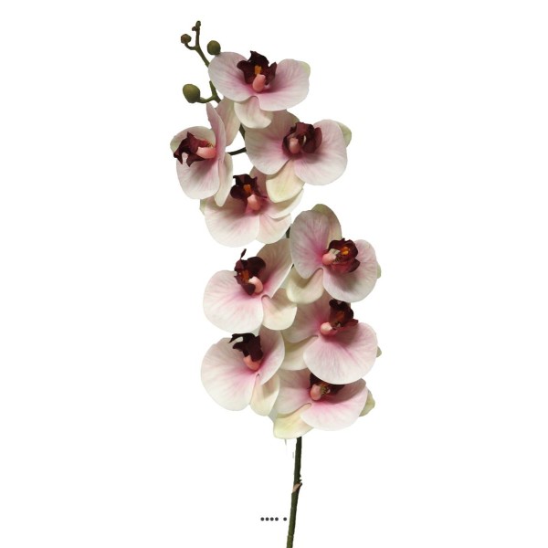 Tige orchidée phalaenopsis Factice 9fleurons H108cm Pourpre-blanc-BEST - Photo n°2