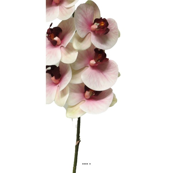 Tige orchidée phalaenopsis Factice 9fleurons H108cm Pourpre-blanc-BEST - Photo n°3