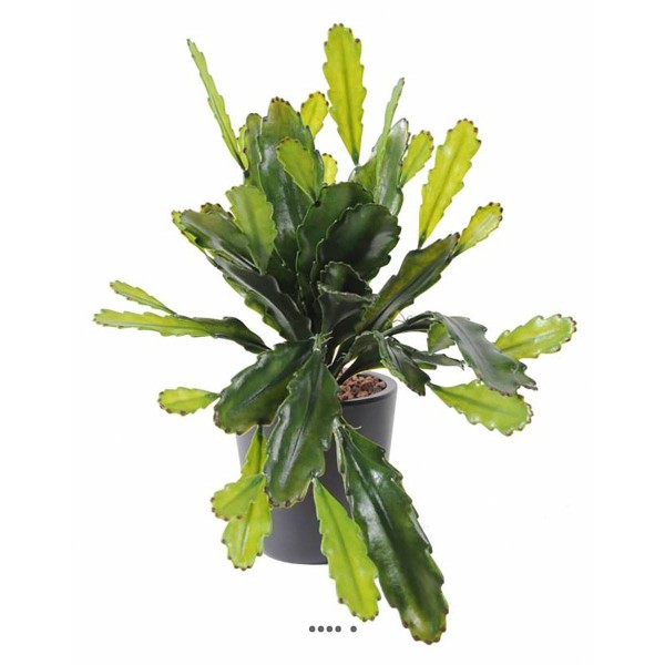 Epiphyllum artificiel en piquet pour extérieur plastique H 50 cm - Photo n°1