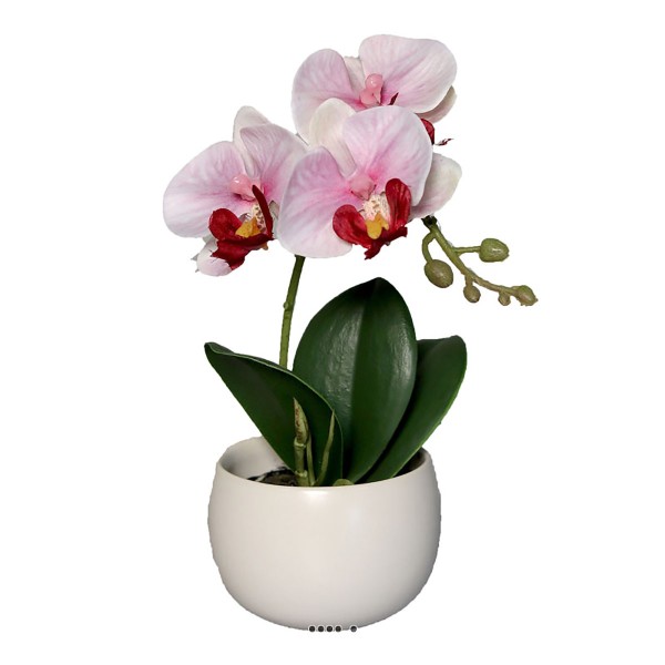 Adorable fausse orchidée coupe céramique H 16 cm Rose-crème - Photo n°1