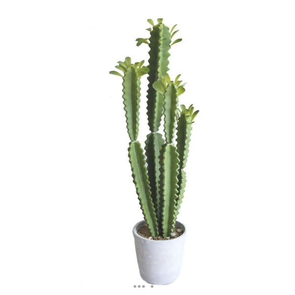 Euphorbe Trigona Succulent plante artificielle en pot Beton Mousse PU H 71 cm Vert - Photo n°1
