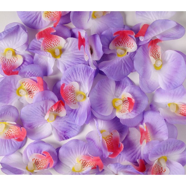 têtes d'orchidees X 20 Lavande en sachet D 6 cm - Photo n°1
