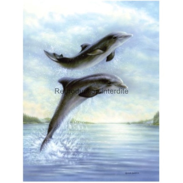 Image 3D - gk2430001 - 24x30 - dauphins - Photo n°1