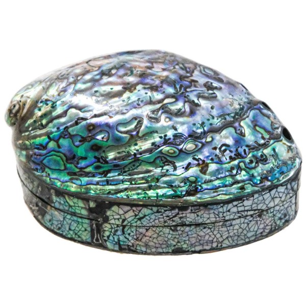 Boite à bijoux avec coquillage haliotis abalone paua. - Photo n°2