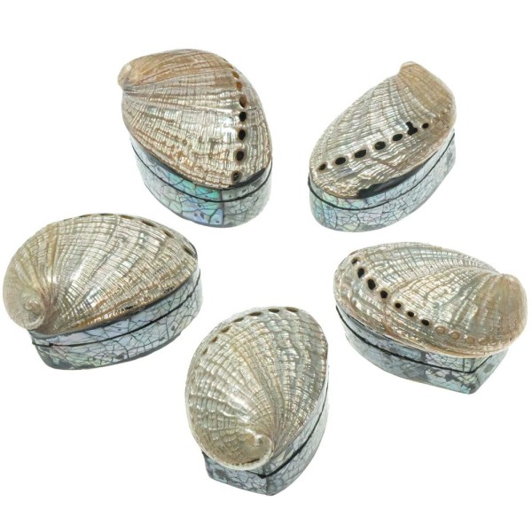 Boite à bijoux avec haliotis nacré et plaquage abalone paua. - Photo n°4