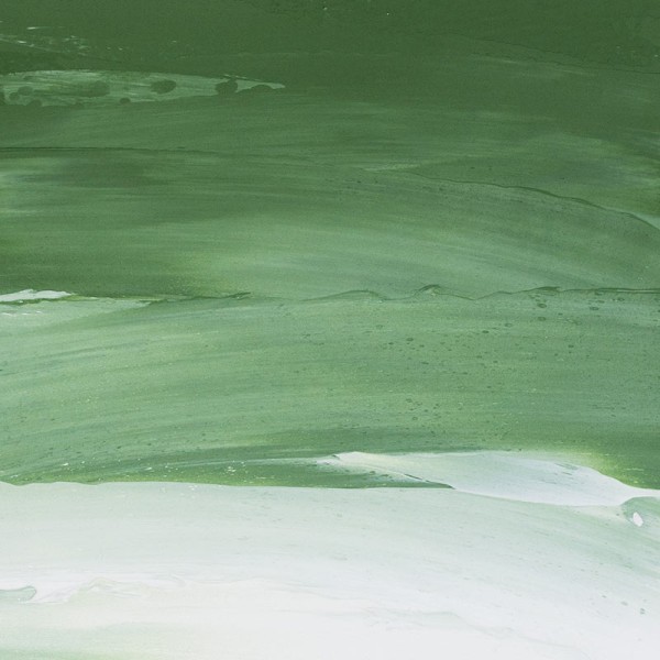 Peinture à l'huile - Sennelier - Rive Gauche - Vert Oxyde de Chrome - 815 - Tube de 40ml - Photo n°2