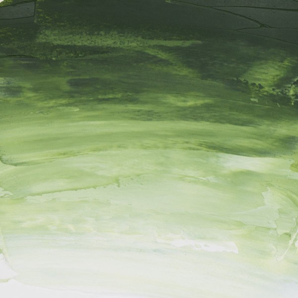 Peinture à l'huile - Sennelier - Rive Gauche - Vert de Vessie - 819 - Tube de 40ml - Photo n°2