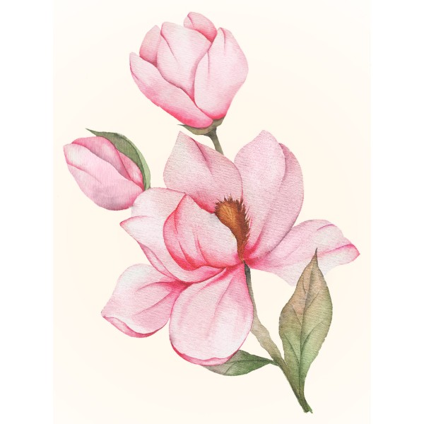 Kit de peinture diamant Fleur de magnolia 30*40 WD3021 - Photo n°1
