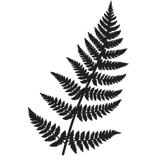 Die de découpe - Botanica - Fougère - 13,8 x 9 cm - Photo n°6