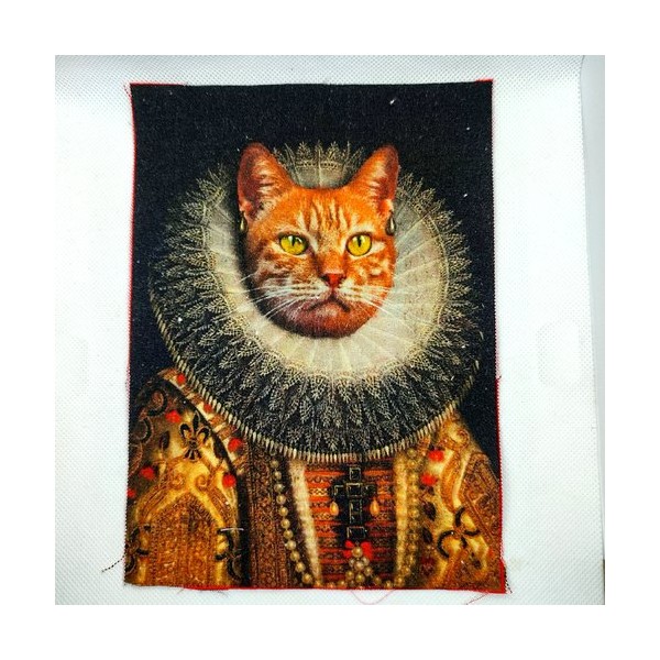 Coupon tissu un chat avec son costume multicolore - coton épais - 15x20cm - Photo n°1
