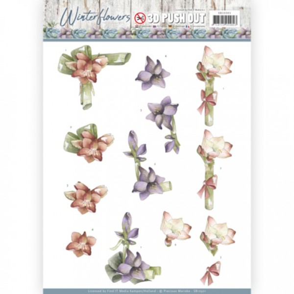 Carte 3D prédéc. - SB10301 - Winter Flowers - Amaryllis - Photo n°1