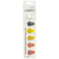 Pigments Jesmonite - Couleurs naturelles - 6 x 2 g