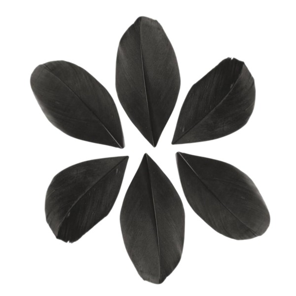 100 plumes coupées - Noir 6 cm - Photo n°1