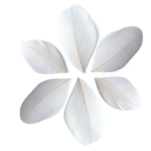 100 plumes coupées - Blanc 6 cm - Photo n°1