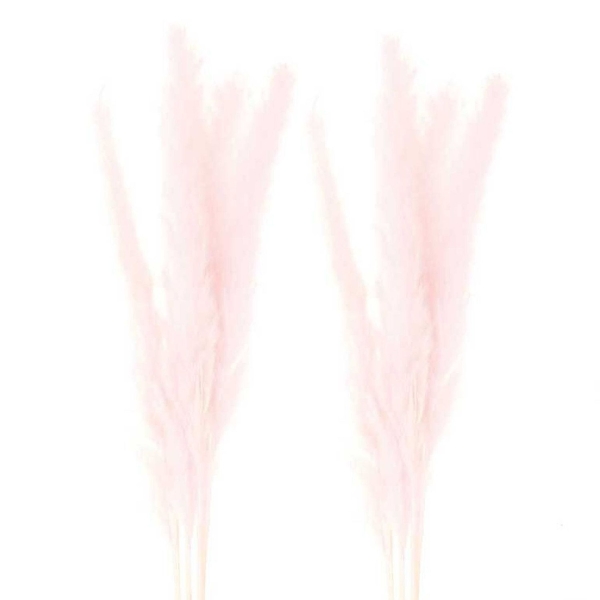 2 bouquets d'herbes de Palma séchées rose - 70 cm - Photo n°1