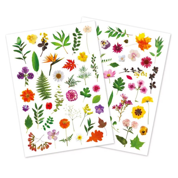 Gommettes - Fleurs - Herbier - Pour enfant - Loisirs créatifs - 73 pièces - Photo n°1