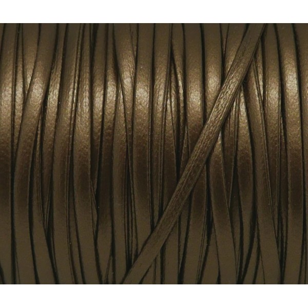 1m Lanière Cuir Synthétique De Couleur Bronze Vert 2,5mm Aspect Légèrement Brillant - Photo n°1