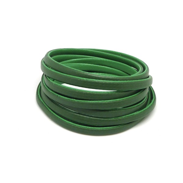 1,6m Cordon Plat Cuir Synthétique Bicolore Vert Grenouille / Vert Olive 5mm - Photo n°1