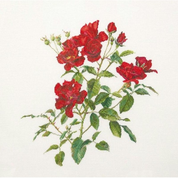 Thea Gouverneur 411A Fleurs de roses rouge  sur toile Aida blanc - Photo n°1