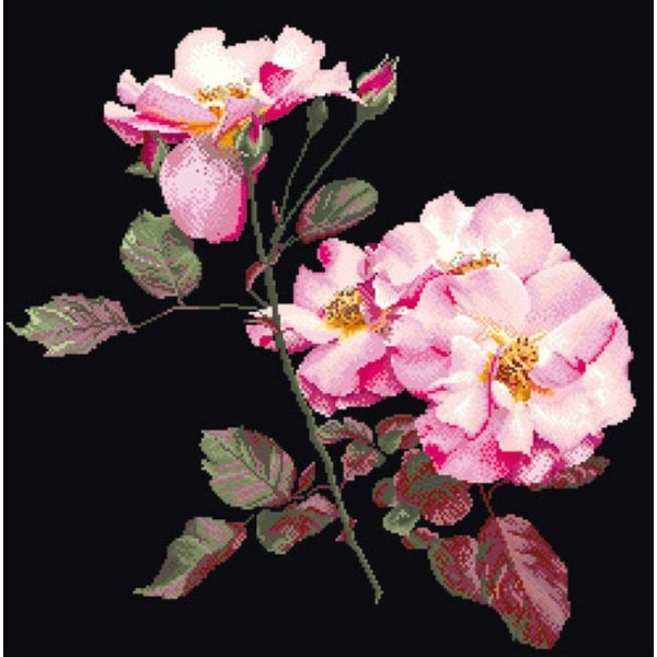 Thea Gouverneur 412.05 Roses églantine sur toile Aida noir - Photo n°1