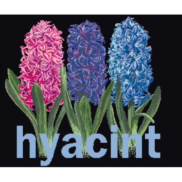 Thea Gouverneur 434.05 Hyacinth sur toile Aida noir - Photo n°1