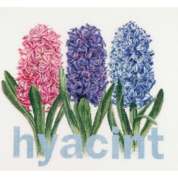 Thea Gouverneur 434A Hyacinth sur toile Aida blanc - Photo n°1