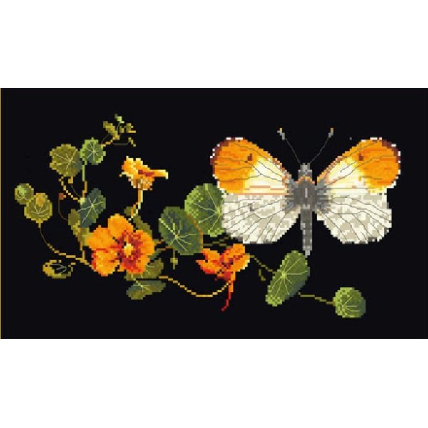 Thea Gouverneur 437.05 Butterfly Nasturtium sur toile Aida noir - Photo n°1