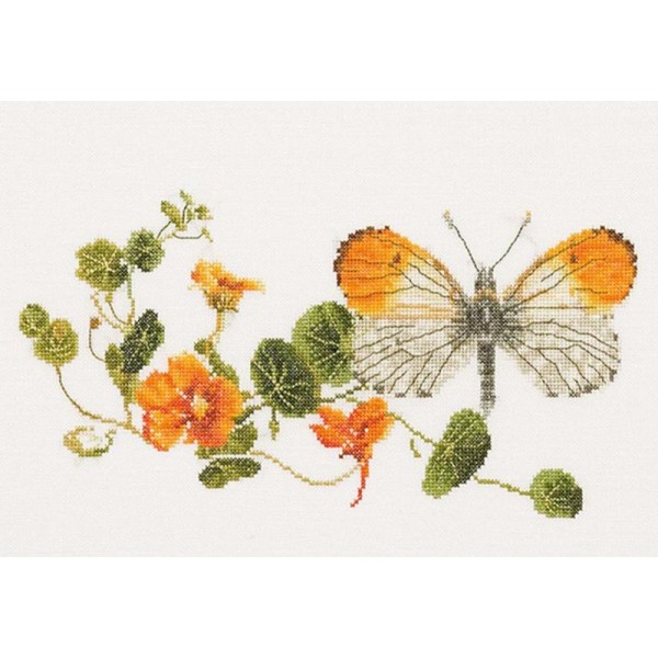 Thea Gouverneur 437A Butterfly Nasturtium sur toile Aida blanc - Photo n°1